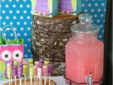 Owl Decorations for Birthday Party Best 25 Owl Party Decorations Ideas On Pinterest Owl