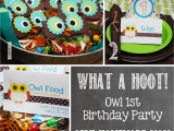 Owl First Birthday Decorations Owl 1st Birthday Party Mostly Homemade Mom