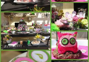 Owl themed Birthday Decorations Mkr Creations Owl theme Birthday Party