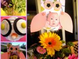 Owl themed Birthday Decorations Owl themed First Birthday Diy Inspired