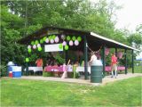 Park Birthday Party Decorations 17 Best Images About Park Shelter or Pavillion Decorations