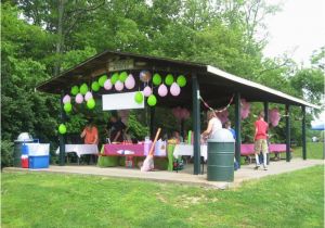 Park Birthday Party Decorations 17 Best Images About Park Shelter or Pavillion Decorations