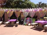 Park Birthday Party Decorations Birthday Party Ideas Birthday Party Ideas at the Park