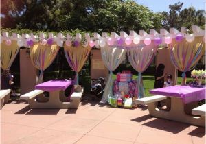 Park Birthday Party Decorations Birthday Party Ideas Birthday Party Ideas at the Park