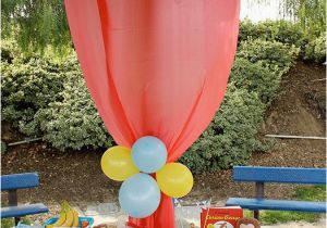 Park Birthday Party Decorations Dollar Tree Tablecloth Hung Up to Hide the Poles Park