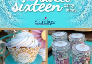 Party Ideas for Sweet 16 Birthday Girl Best 25 Sweet 16 Parties Ideas On Pinterest Sweet