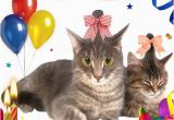Passionup.com Birthday Cards top Notch Birthday E Cards From Passionup