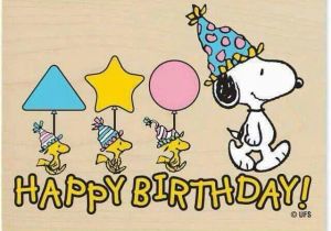 Peanuts Characters Birthday Cards 63 Best Snoopy Birthday Images On Pinterest Happy