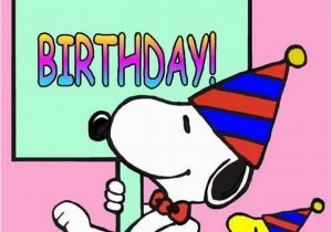 Peanuts Characters Birthday Cards 97 Best Images About Peanuts Gang Birthday On Pinterest