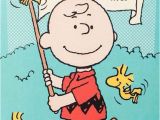 Peanuts Characters Birthday Cards Best 25 Peanuts Happy Birthday Ideas On Pinterest Happy
