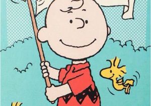 Peanuts Characters Birthday Cards Best 25 Peanuts Happy Birthday Ideas On Pinterest Happy