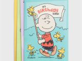 Peanuts Characters Birthday Cards Peanuts Birthday 12 Boxed Cards Dayspring