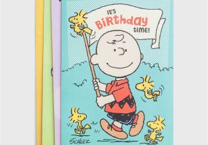 Peanuts Characters Birthday Cards Peanuts Birthday 12 Boxed Cards Dayspring