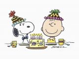 Peanuts Characters Birthday Cards Peanuts Birthday Quotes Quotesgram