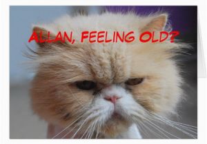 Persian Birthday Cards Allan Brother Birthday Persian Cat Humour Card Zazzle Ca