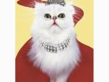 Persian Birthday Cards Greeting Cards Birthday Humorous