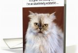 Persian Birthday Cards Humorous Birthday Card Ecstatic Persian Cat Card 1370848