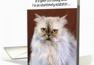 Persian Birthday Cards Humorous Birthday Card Ecstatic Persian Cat Card 1370848