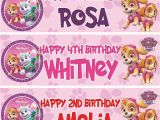 Personalised Happy Birthday Banners Uk 2 X Personalised Birthday Banner Party Paw Patrol Girls