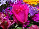 Pic Of Birthday Flowers Birthday Flowers Images and Wallpapers Download