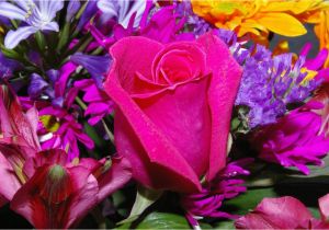 Pic Of Birthday Flowers Birthday Flowers Images and Wallpapers Download