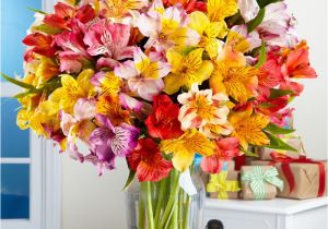 Pics Of Birthday Flowers Happy Birthday Flowers Best Gifts for You Birthday Cakes