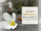 Pictures Of Beautiful Birthday Cards Beautiful Happy Birthday Images Www Imgkid Com the