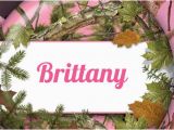 Pink Camo Birthday Party Decorations Pink Camouflage Birthday Party Supplies