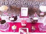 Pink Cheetah Print Birthday Decorations Animal Print Party Decorations Ideas Psoriasisguru Com