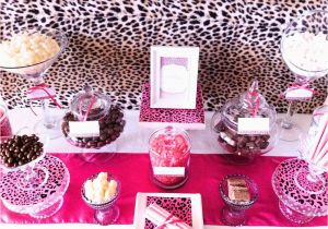 Pink Cheetah Print Birthday Decorations Animal Print Party Decorations Ideas Psoriasisguru Com