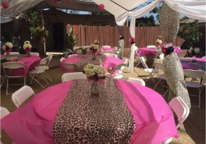 Pink Cheetah Print Birthday Decorations Cheetah themed Party