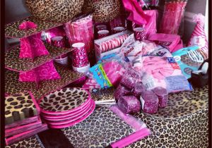 Pink Cheetah Print Birthday Decorations Hot Pink and Leopard Print Baby Shower I Want to Know