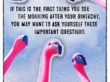 Pink Flamingo Birthday Cards Flock Of Pink Flamingos Funny Birthday Card Greeting