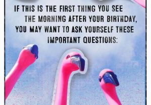 Pink Flamingo Birthday Cards Flock Of Pink Flamingos Funny Birthday Card Greeting