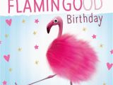 Pink Flamingo Birthday Cards Pink Flamingo 3d Fluff Handmade Luxury Birthday Greeting