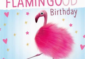 Pink Flamingo Birthday Cards Pink Flamingo 3d Fluff Handmade Luxury Birthday Greeting