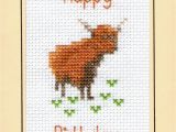 Plain Birthday Cards Highland Cow Plain Birthday A6 Greeting Card 14 Count