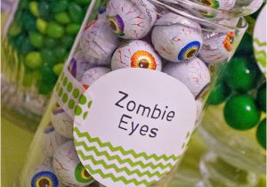 Plants Vs Zombies Birthday Decorations Kara 39 S Party Ideas Plants Vs Zombies Boy Video Game 6th