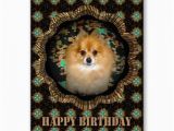 Pomeranian Birthday Card 54 Best Images About My Greeting Card Art On Pinterest