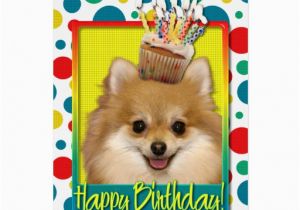 Pomeranian Birthday Card Birthday Cupcake Pomeranian Card Zazzle