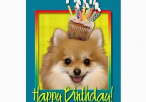 Pomeranian Birthday Card Birthday Cupcake Pomeranian Greeting Card Zazzle