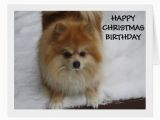 Pomeranian Birthday Card Happy Birthday Says This Cute Pomeranian Card Zazzle