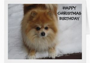 Pomeranian Birthday Card Happy Birthday Says This Cute Pomeranian Card Zazzle