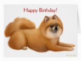 Pomeranian Birthday Card Pomeranian Happy Birthday Card Zazzle