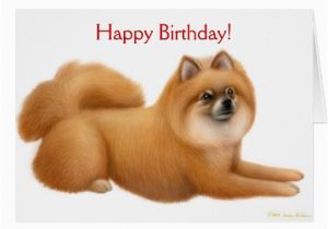 Pomeranian Birthday Card Pomeranian Happy Birthday Card Zazzle
