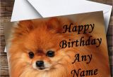 Pomeranian Birthday Card Pomeranian Puppy Dog Personalised Birthday Card the Card Zoo