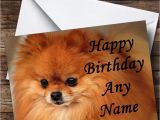 Pomeranian Birthday Card Pomeranian Puppy Dog Personalised Birthday Card the Card Zoo