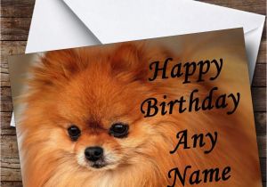 Pomeranian Birthday Card Pomeranian Puppy Dog Personalised Birthday Card the Card Zoo