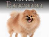 Pomeranian Birthday Meme 1000 Images About Pomeranian On Pinterest Barking