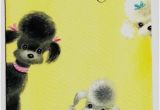Poodle Birthday Cards 17 Best Images About Gorgeous Poodle Art On Pinterest